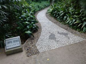 作为路边地被