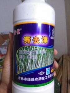 莠去津