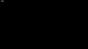 蚧壳虫