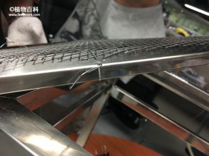 试验:扩张网固定在焊接好的亭顶