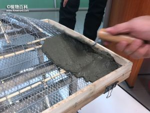 试验：浇筑混凝土