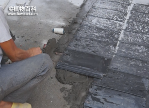 保利金町湾小试：覆瓦装饰