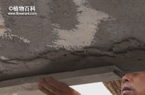保利金町湾小试：厅层底面修补
